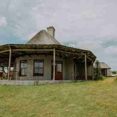 Hlosi Game Lodge - Amakhala Game Reserve Hotel Exterior