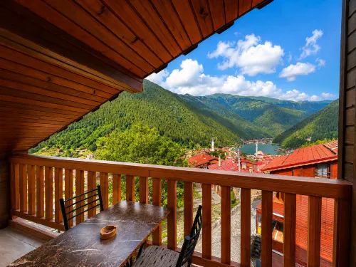 Şimo Suite