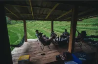 Hae o bi (rice terraces) Hotels in Samoeng