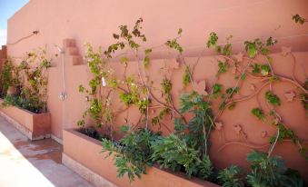 Riad Kech One & Spa