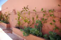 Riad Kech One & Spa