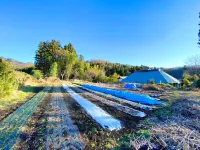 Pukōji Temple Hotels in Numata