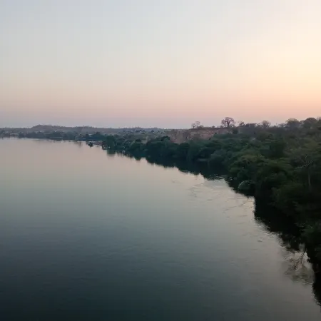 Bush River Safaris