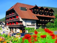 Hotel Restaurant Schwarzwaldhof Hotels in Besenfeld