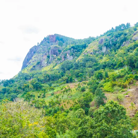 Hotel Mississipi Ella