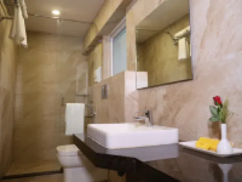 納特拉吉酒店 詹謝普爾酒店