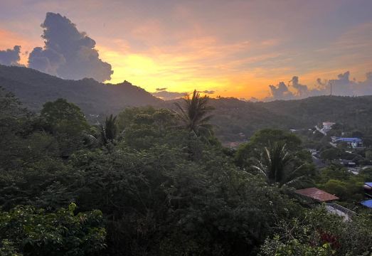 Wonderland Jungle Hostel 전경