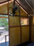 Wassana camp