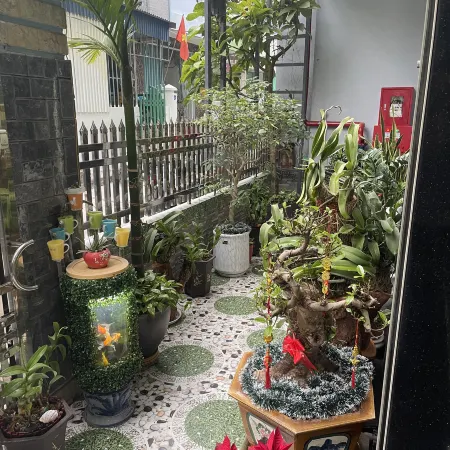 CATBA CENTRAL HOMESTAY Отели рядом с достопримечательностью «Пляж острова обезьян»