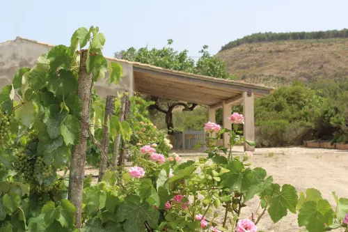 Casa Virgilio among the centuries olive trees - วิลล่า