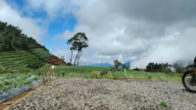 Padangsari Cabin 2 Hotels in Kejajar