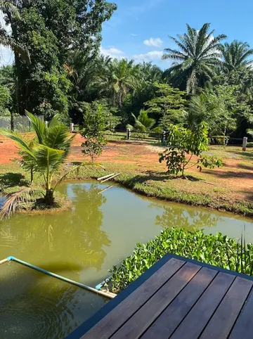 รูปภาพของดาริสา โฮม