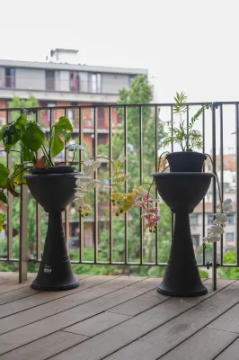 ISOLA 10 luxurious three room apartment Các khách sạn ở 