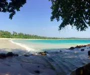 Cozy Beach Talalla Hotels in Koattagoda