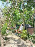 Dalux Motel VIP - Homestays