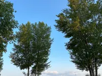 Ishkhan Resort - Lake House 2 with Sevan View Hotels in Sevan