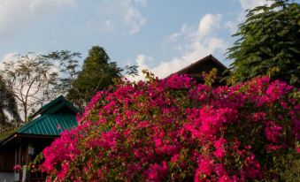 The Nest Pai Love, Wellness Resort & Retreat Center