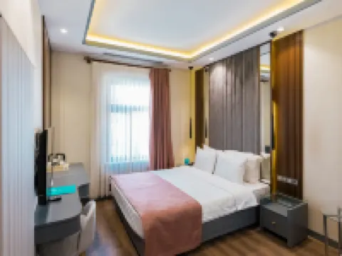 VE ホテルズ アダカレ アンカラのホテル