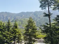 The Nature Crest Manali