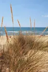 Sable & Pampas — Meublé de Tourisme 5★ - 5-Sterne