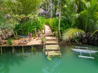 Water to Forest Ecolodge Hotels in Loboc