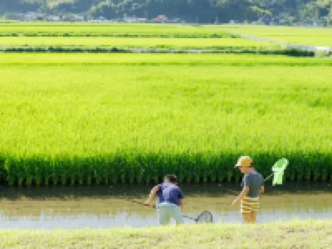 Soradomari – Family Stay & Photoshoot House in Fukuoka 飯冢市酒店