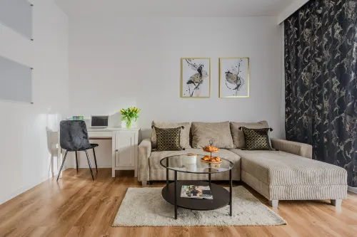 Lumina stylish apart with parking in City Center - Homestays