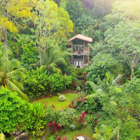 Casitas Del Rio Riverfront Nature Lodge - Sloth Luxury Villa