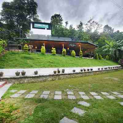 特里舒裡別墅 Hotel Exterior