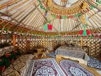 Golden Camel Hotels in 