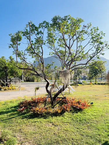 รูปภาพของเอ็มแกรนด์นาคาวิว