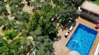 Casa Del Olivia - Pools