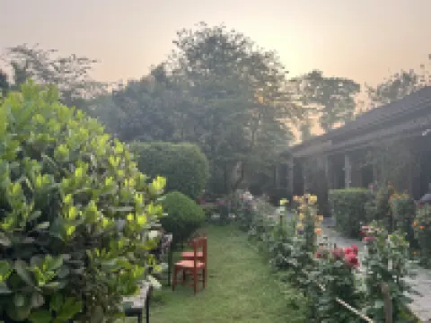 Travellers Jungle Camp Hotels in Sauraha