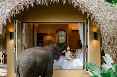 รูปภาพของลาซูลา