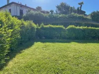 AMALIA Villa & Apartments - maisons de vacances