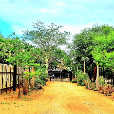 VIVO LODGE