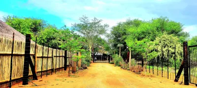 VIVO LODGE Hotel di 