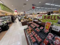 Haniwa Stay Josai - Apartments