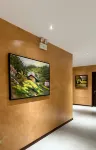 Duyen Hung Premier Hotel - Wi-Fi