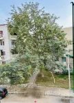 Cozy &Comfy &Safe Apartment, New Cairo Hotel a 