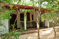 The Waves Beach Chalets Hotels near Turtle Conservation Project Turtle Watch