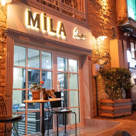MİLA SUİTES TAKSİM HOTEL Отели рядом с достопримечательностью «Шишли»