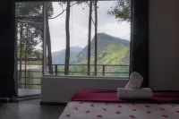 Pineapple Hills Ella