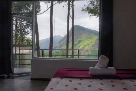 Pineapple Hills Ella