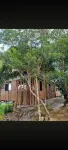 Sunset Camping Eco-Guest House & Camping Site