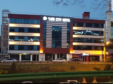 Lion City Hotel Отели в г. Demirtas Dumlupinar Osb