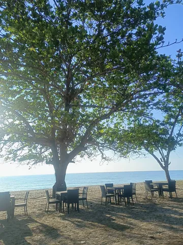 รูปภาพของชายทะเลขนอม