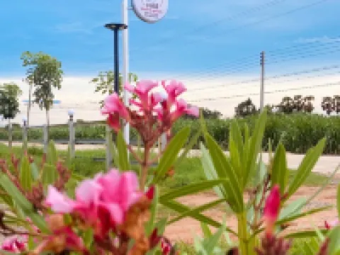 มาที่นี่ รีสอร์ท พูลวิลล่า จัตุรัส ชัยภูมิ โรงแรมในอำเภอ จัตุรัส