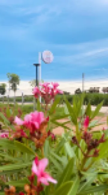 มาที่นี่ รีสอร์ท พูลวิลล่า จัตุรัส ชัยภูมิ