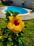 Luxury Secure Gated Villa Surrounded by Nature - Villas